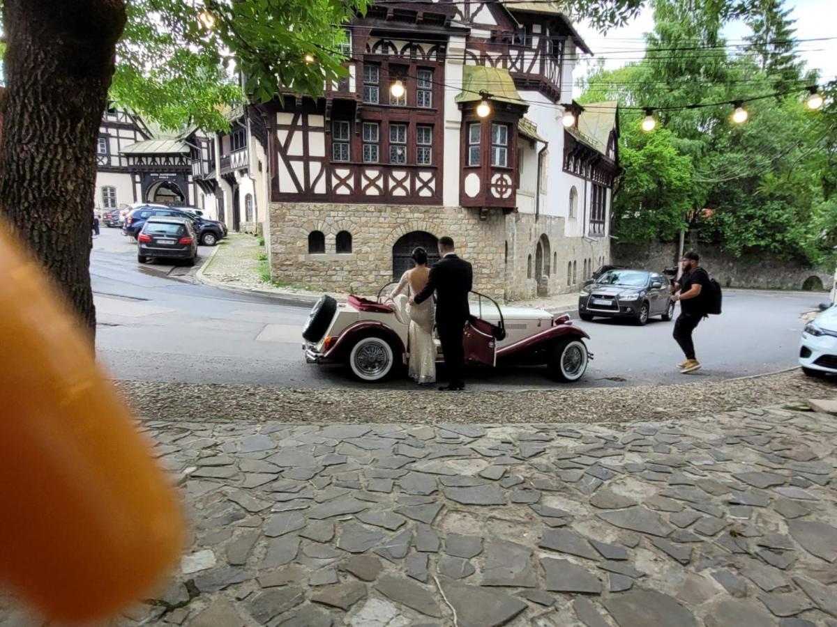 Hotel Boutique Vila Lakastel Sinaia Eksteriør billede